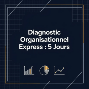 Diagnostic Organisationnel Express : 5 Jours