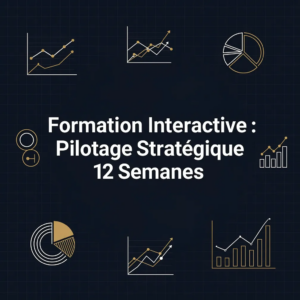Formation Interactive : Pilotage Stratégique 12 Semaines